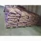 Продажа картофеля с овощебазы в Житомире - фото № 1