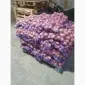 Продажа картофеля с овощебазы в Житомире - фото № 2