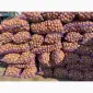 Продам товарну картоплю різних сортів - фото № 1