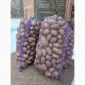 Продам продовольственный картофель - фото № 2