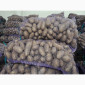 Куплю картоплю товарну сорт Гранада - фото № 6