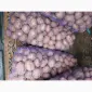 Продам товарну картоплю Бела Роса Балтік Роуз - фото № 1