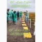 Продажа насіння картоплі сортів Беллароза і Берніна - фото № 6