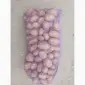 Продам товарный картофель сорта Мелоди оптом от 20 тонн - фото № 1
