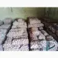 Продам картоплю велику і насіневу кого цікавить телефонуйте - фото № 1