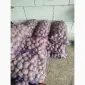 Продам картоплю кількох сортів хорошої якості обсяги є - фото № 9