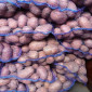 Картопля сорту Арізона оптом - фото № 2