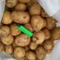 Продаж молодої картоплі з фермерського господарства - фото № 1