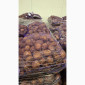 Продаж картоплі з Польщі - фото № 7