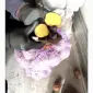 Товарна картопля(швидка загрузка) - фото № 2