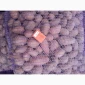 Продажа картофеля сорт Коломбо и Ред Леди - фото № 4