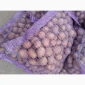 Продажа картофеля сорт Коломбо и Ред Леди - фото № 18