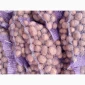 Продажа картофеля сорт Коломбо и Ред Леді - фото № 15