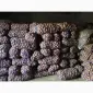 Продам картофель товарный - фото № 1