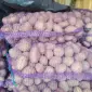 Продам борщовий набір від виробників і постачальників з 10 тонн - фото № 11