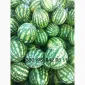 Солодкий кавун на продажу - фото № 1