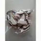 Продаж сушених мухоморів - фото № 4