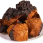 Чага березовая сушеная в кусках - фото № 1