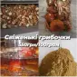 Сушені мухомори оптом - фото № 1