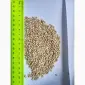 Продам сорго біле - фото № 1