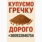 Покупка гречки с хозяйств по всей Украине - фото № 1
