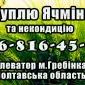 Элеватор закупает ячмень и некондицию - фото № 1