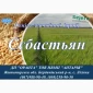 Продаю насіння ячменю Сєбастьян - фото № 1