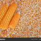 Продажа кукурузы на экспорт от поставщика - фото № 1