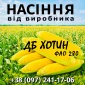 Насіння кукурудзи ДБ Хотин ФАО 280 від виробника Agro_Exprt - фото № 1