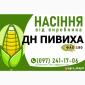 Гибрид кукурузы ДН Пивиха (ФАО 180). Семена от производителя - фото № 1