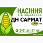 Гібрид кукурудзи ДН Сармат (ФАО 380) від виробника - фото № 1