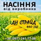 Насіння кукурудзи ДН Страйд ФАО 230 від виробника - фото № 1