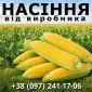 Предлагаем высококачественные семена кукурузы. Семена от производителя - фото № 1