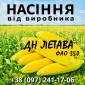 Насіння кукурудзи ДН Летава ФАО 350 від виробника Agro_Exprt - фото № 1