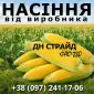Насіння кукурудзи ДН Страйд / ФАО 230 від виробника - фото № 1