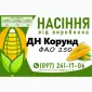 Качественное семя кукурузы от производителя в Харькове - фото № 3