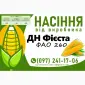 Качественное семя кукурузы от производителя в Харькове - фото № 7