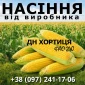 Насіння кукурудзи ДН Хортиця, ФАО 240, від виробника - фото № 1