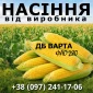 Насіння кукурудзи ДБ Варта ФАО 280 від виробника - фото № 1