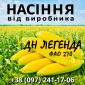 Насіння кукурудзи ДН Легенда ФАО 270 від виробника Agro_Exprt - фото № 1