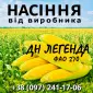 Насіння кукурудзи ДН Легенда ФАО 270 от производителя Agro_Exprt - фото № 1