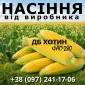 Насіння кукурудзи ДБ Хотин ФАО 280 від виробника - фото № 1