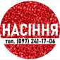 Качественное семя кукурузы от производителя! Много перекупщиков - один производитель - фото № 1
