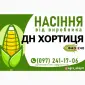 Гибрид кукурузы ДН Хортиця (ФАО 240) от производителя - фото № 1