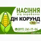 Гібрид кукурудзи ДН Корунд (ФАО 250) від виробника - фото № 1
