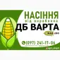 Гибрид кукурузы ДБ Варта (ФАО 280) от производителя - фото № 1