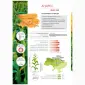 Кукуруза Андрес (ФАО 350) – высокопродуктивный гибрид - фото № 1