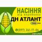 Насіння от производителя - Гибрид кукурузы ДН Атлант (ФАО 290) - фото № 1