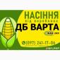 Насіння от производителя - Гибрид кукурузы ДБ Варта (ФАО 280) - фото № 1