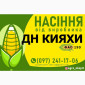 Насіння кукурудзи ДН Кияхи (ФАО 190) от производителя - фото № 1